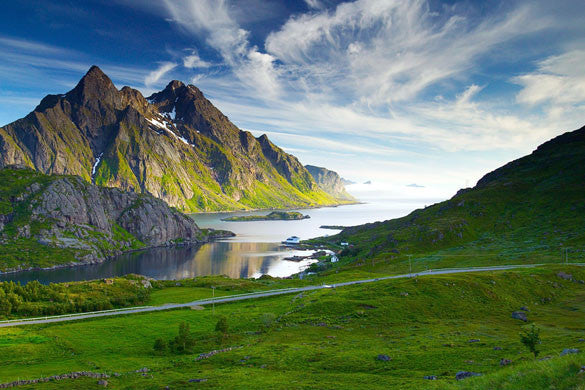 Do Your Part To Lower Toxins In Our Environment