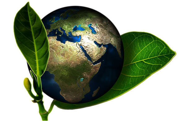 The Eco Friendly Guide to Traveling the World