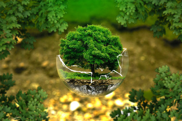 The harms of Nanotechnology